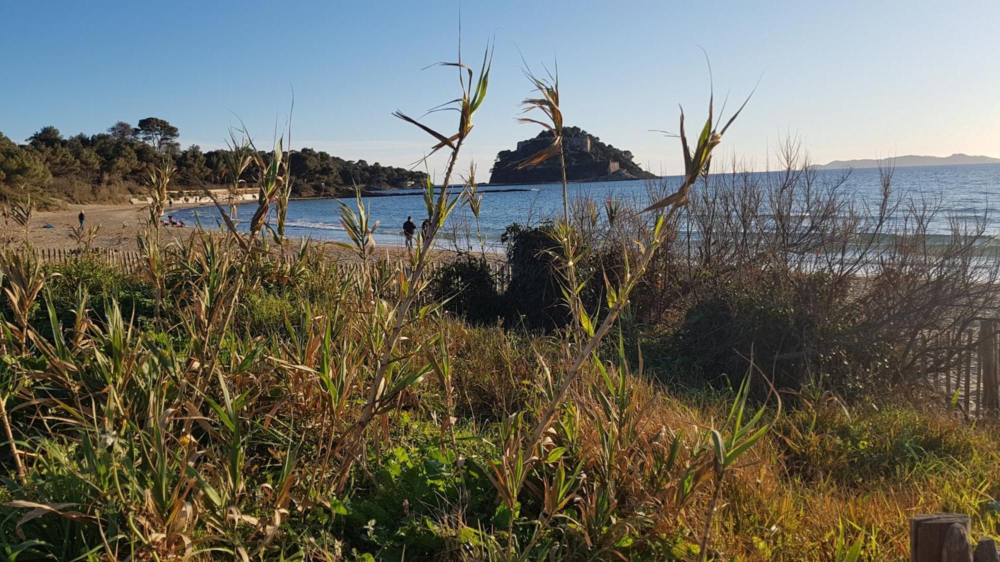 Appartamento Rez De Jardin T3 Recent Et Calme Au Nouvelles Terres A La Londe Les Maures Esterno foto