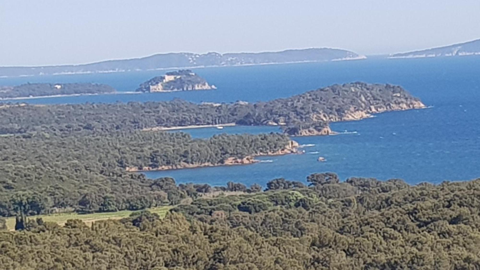 Appartamento Rez De Jardin T3 Recent Et Calme Au Nouvelles Terres A La Londe Les Maures Esterno foto