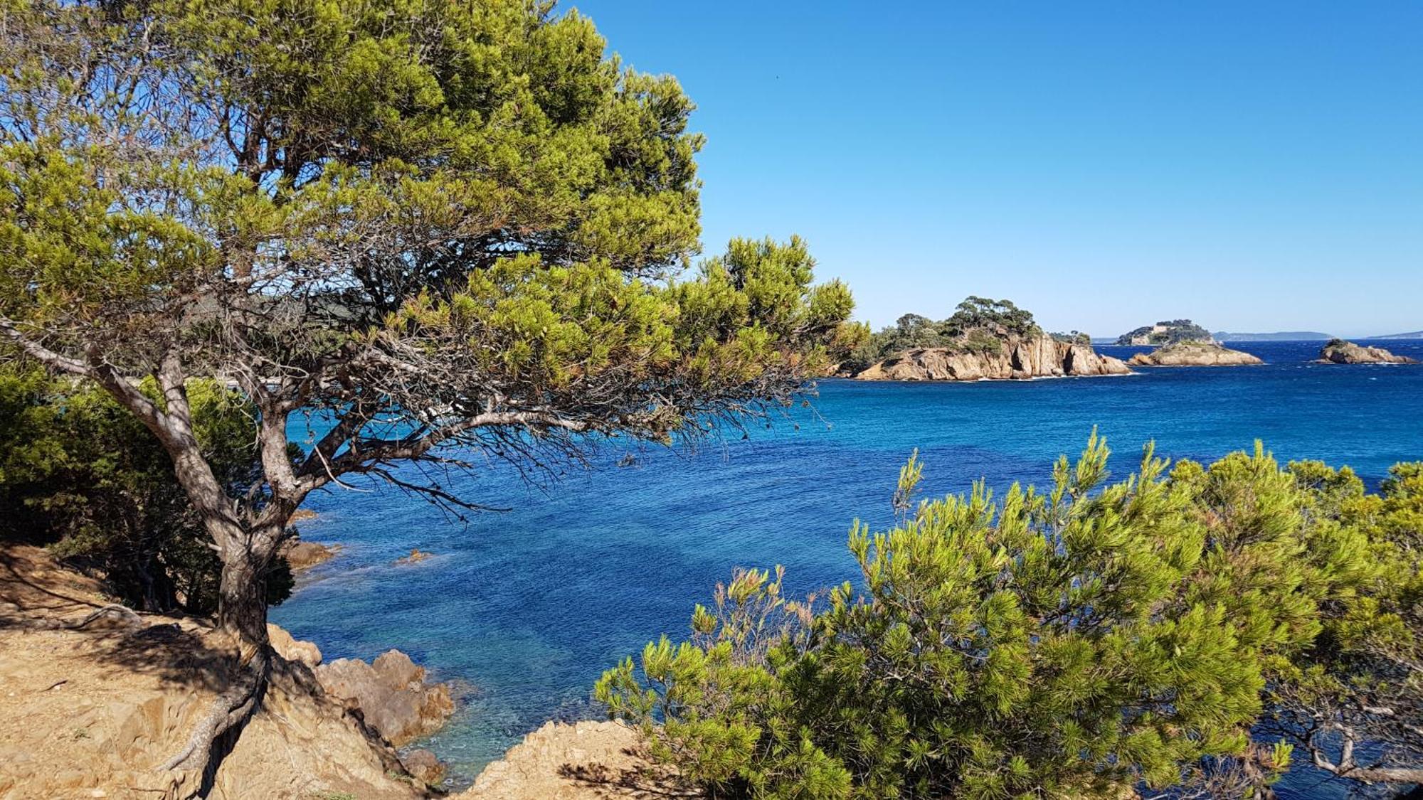 Appartamento Rez De Jardin T3 Recent Et Calme Au Nouvelles Terres A La Londe Les Maures Esterno foto