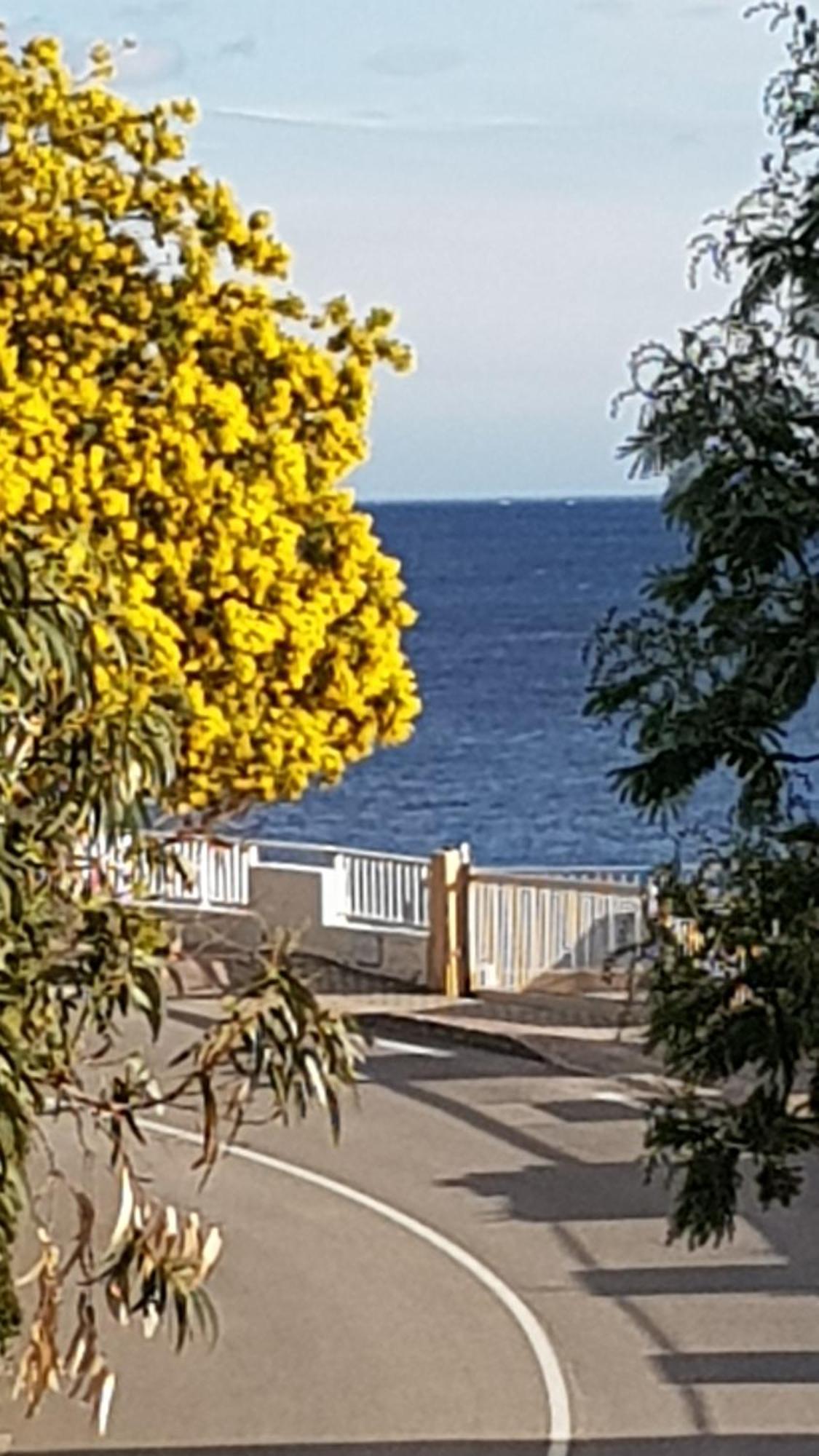 Appartamento Rez De Jardin T3 Recent Et Calme Au Nouvelles Terres A La Londe Les Maures Esterno foto