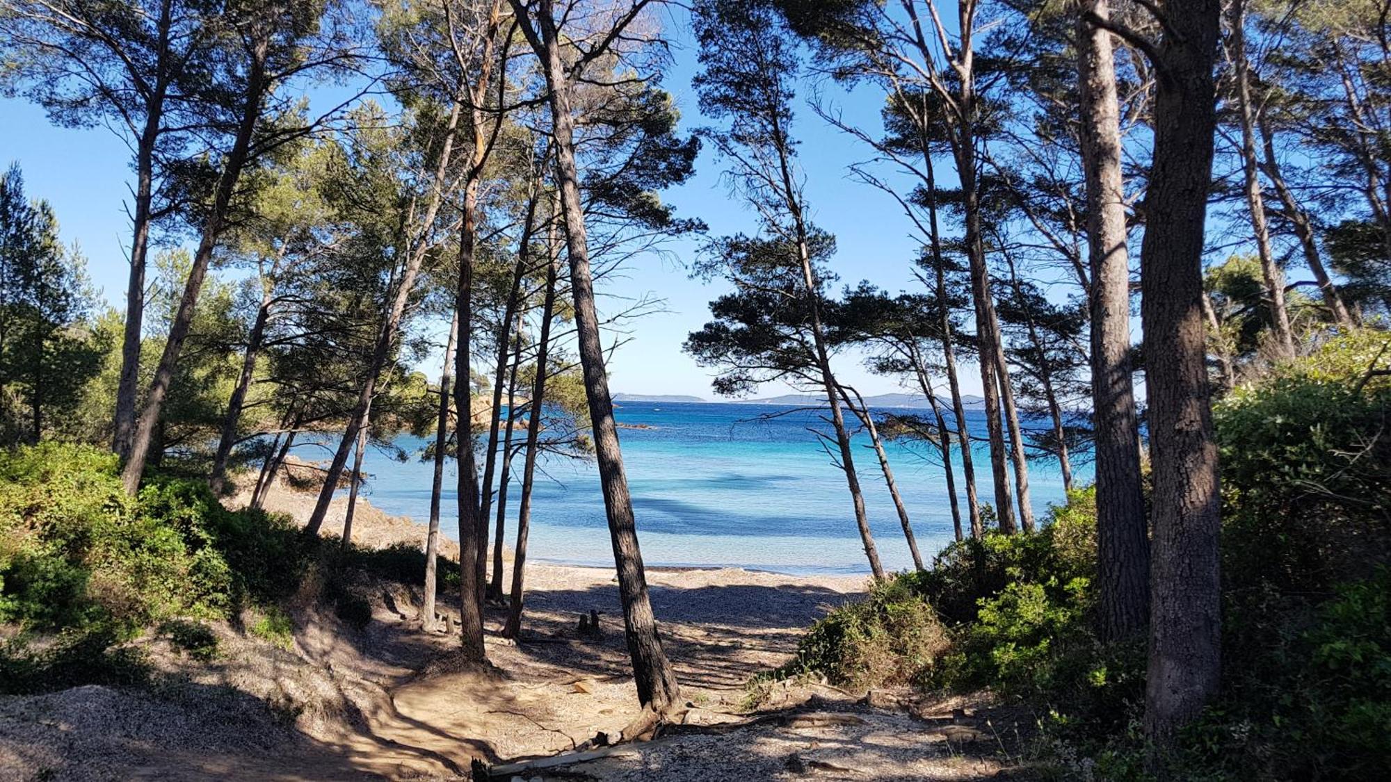 Appartamento Rez De Jardin T3 Recent Et Calme Au Nouvelles Terres A La Londe Les Maures Esterno foto