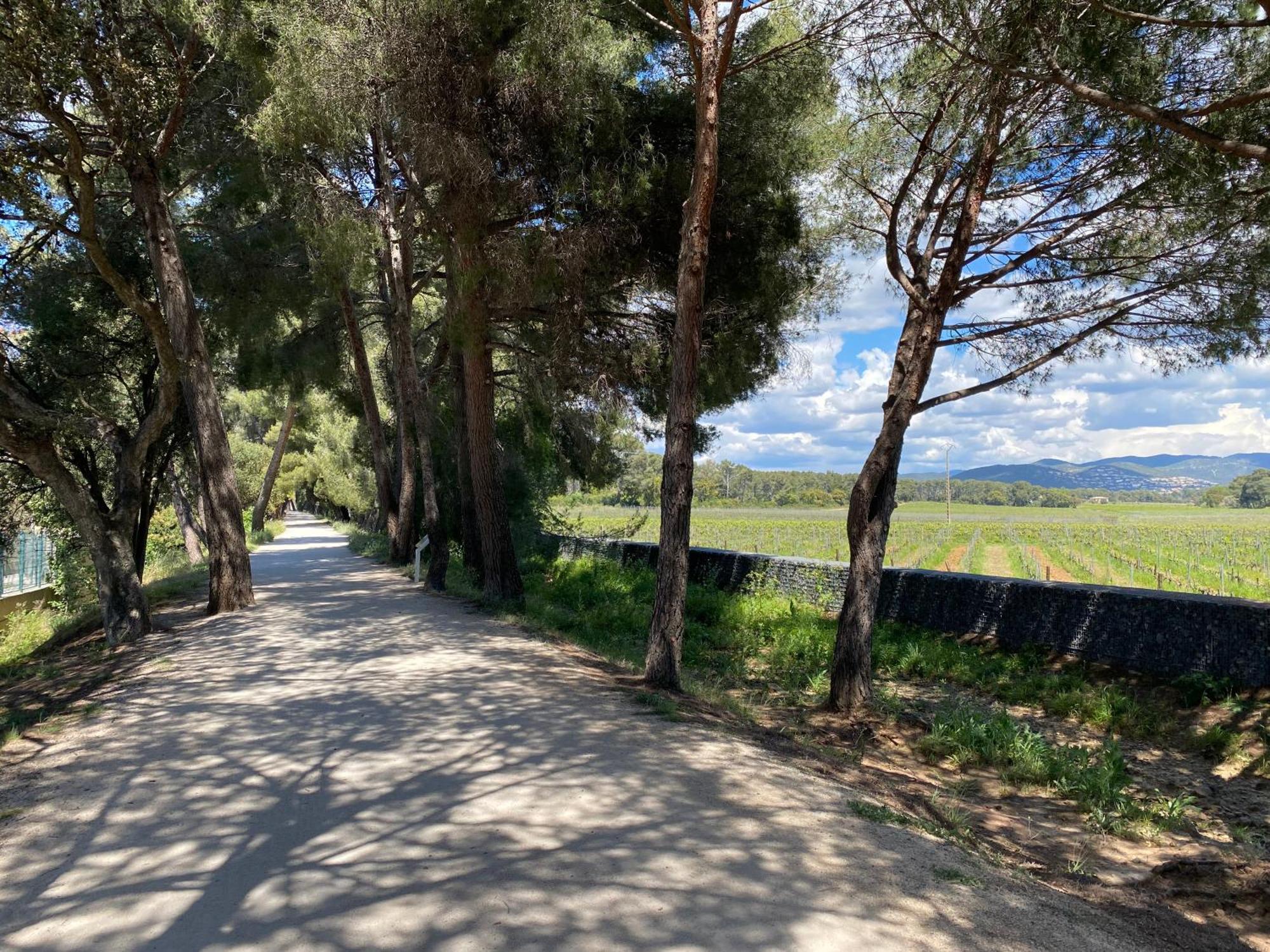 Appartamento Rez De Jardin T3 Recent Et Calme Au Nouvelles Terres A La Londe Les Maures Esterno foto