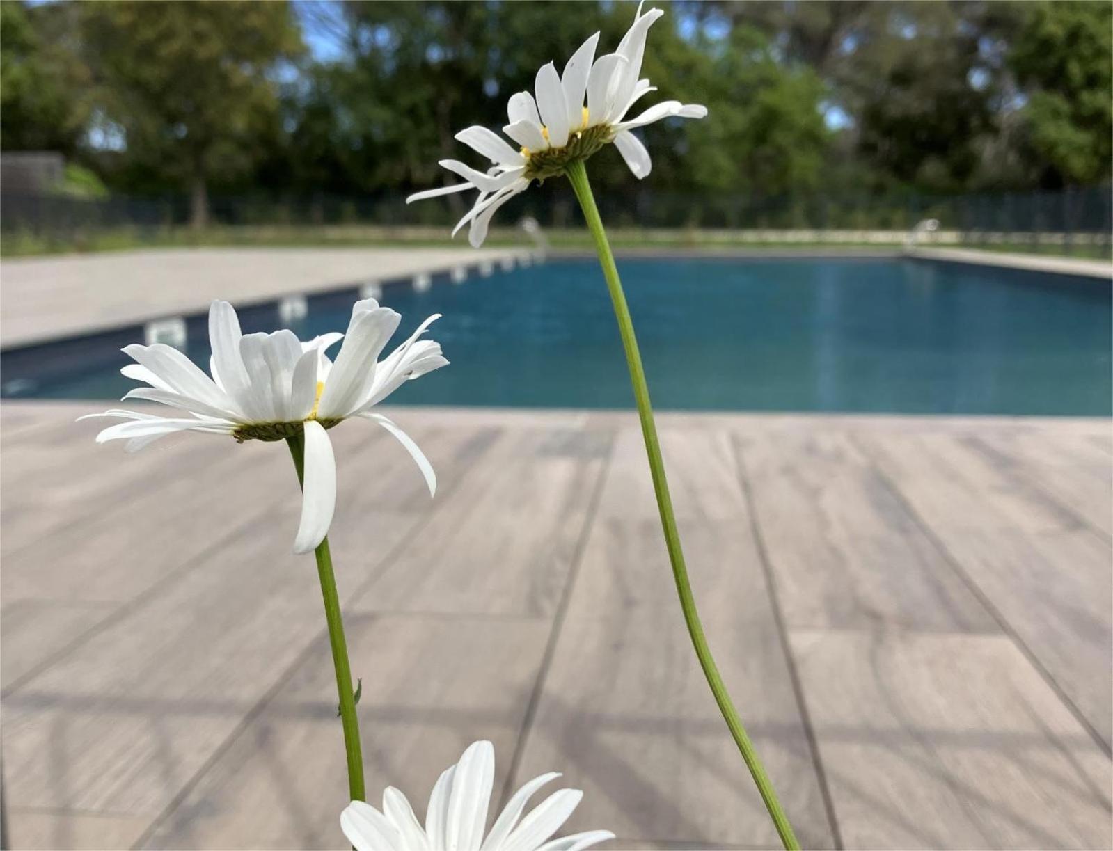 Appartamento Rez De Jardin T3 Recent Et Calme Au Nouvelles Terres A La Londe Les Maures Esterno foto